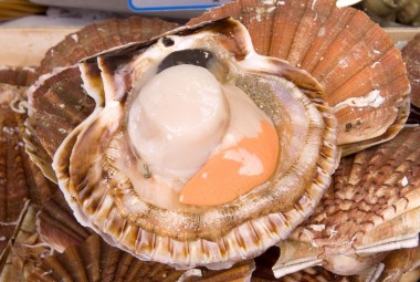 Noix et coquilles Saint-Jacques.