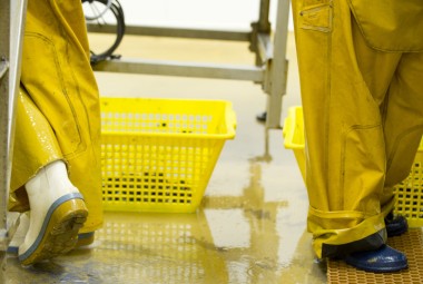 Les Moules de Bouchots, produits de la mer. Bottes.