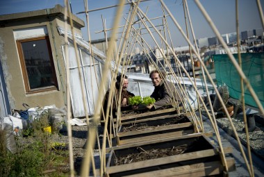 Écologie urbaine. Potager sur les toits.