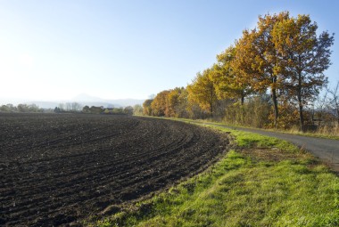 Agroforesterie. Produires autrementement