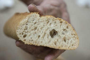 Agriculture Durable : collaboration entre agriculteurs céréaliers bio et artisans boulangers ayant abouti à la baguette Raspaillou. Sa mie est légèrement colorée.