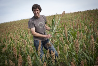 Agriculteur - exploitant dans son champ de sorgho.