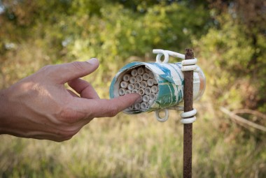 Nichoir à abeilles.