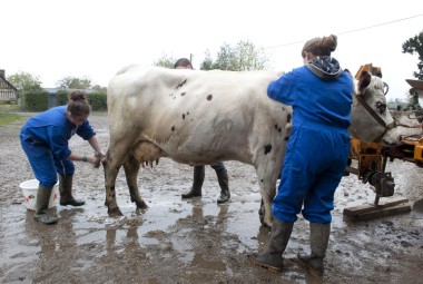 Jeunes élèves de lycée agricole. Séance de de clippage.