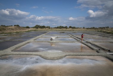 Salines de marais salants. La fleur de sel est cueillie délicatement à la surface de l'eau à l’aide d’une « lousse ».