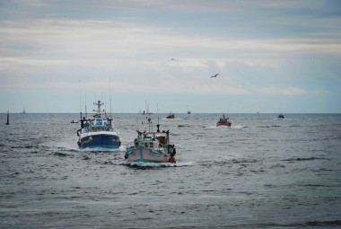 Le Guivinec, port de pêche dans le Finistère (29). Arrivée des bateaux de pêche.